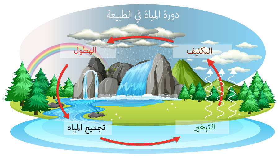 دورة المياه في الطبيعة