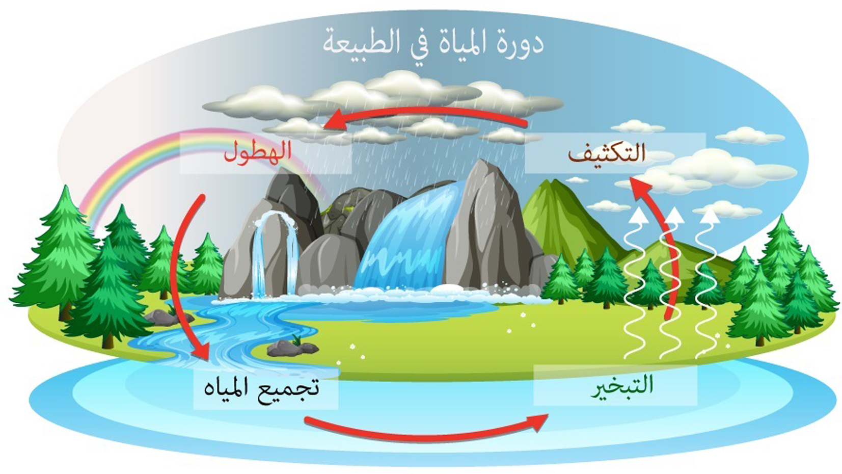 Water Cycle