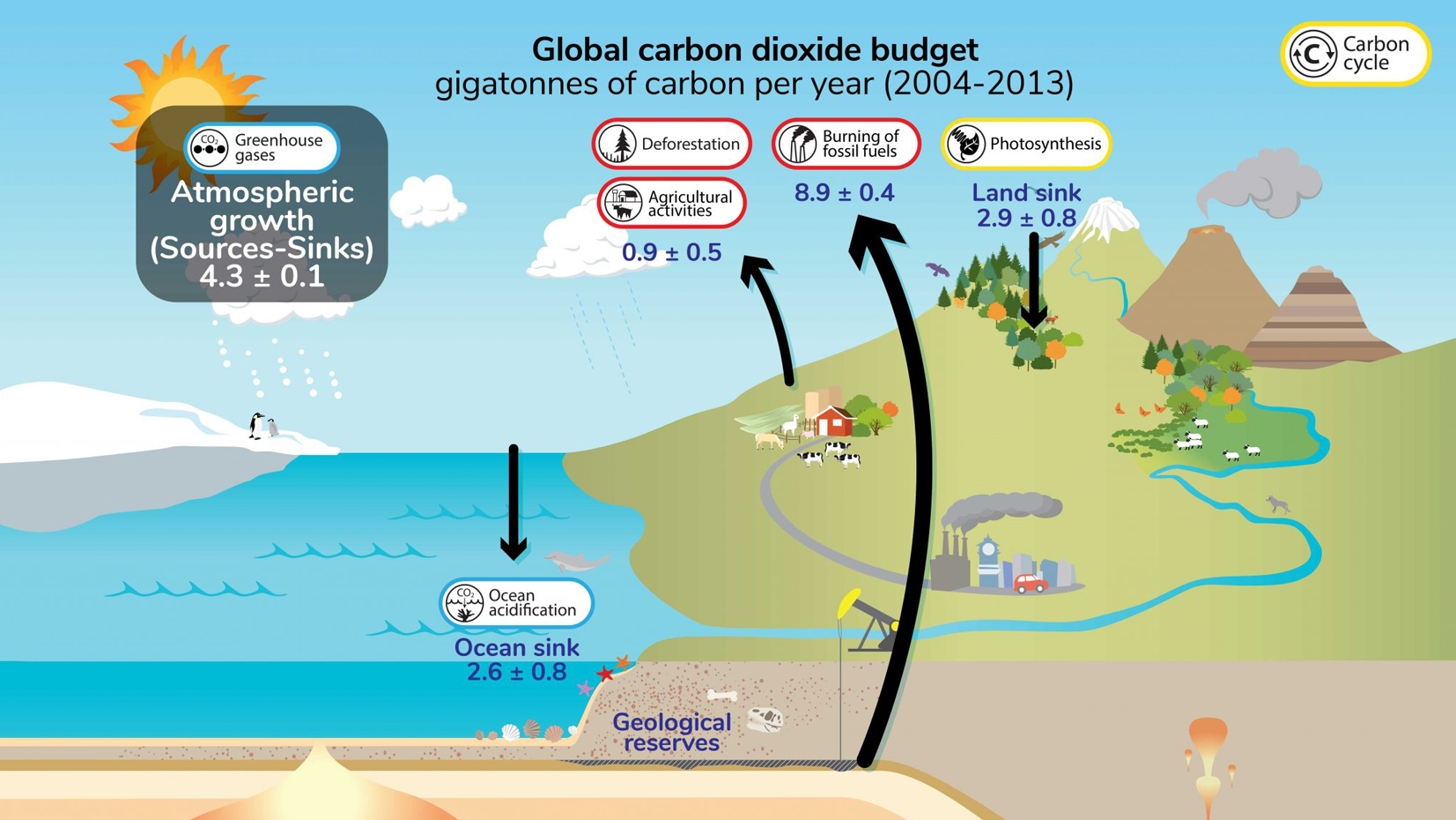 Carbon Cycle