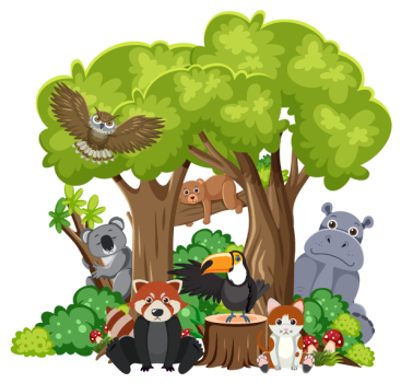 Biodiversity Biodiversity